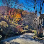 山の茶屋 - 