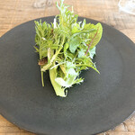 ヴィラ・アイーダ - 