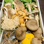 比良山荘 - ・キノコ各種1