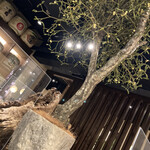 北野坂栄ゐ田 - 