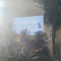 pantagruelico  - 