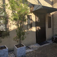 pantagruelico  - 