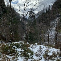 レヴォ - 