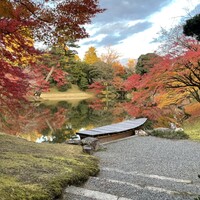 緒方 - 昼は仙洞御所を散策しました。
                かつての上皇のお住まいであり、現在は天皇や海外要人が京都に来られた際の宿泊所。ダイアナ妃も泊まられたのだとか。隅々まで手入れが行き届き立派です。