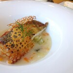 阿蘇レストラン&菓子屋 ギフト - 「マトウ鯛のポワレ、クラムチャウダー仕立てソース」