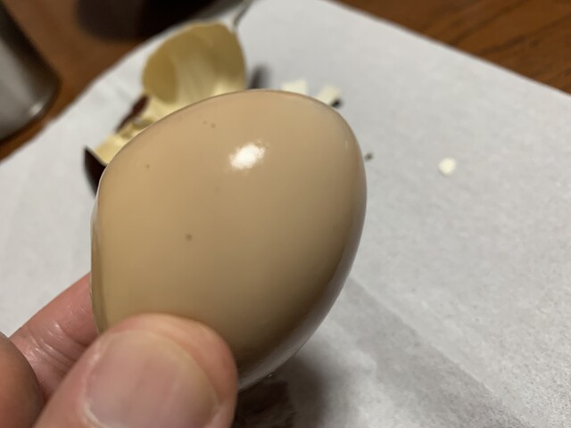 福虎 - 福島市その他（その他）の写真