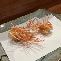天冨良 よこ田 - 