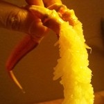 別邸 きときと - 2012年12月12日