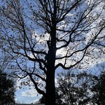 安心院葡萄酒工房 - 店頭2