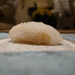 島津 - アオリイカ