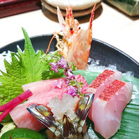 寿司 はせ川 心斎橋本店 - 