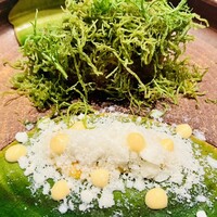 ルカンケ - 牡蠣 オゴノリ