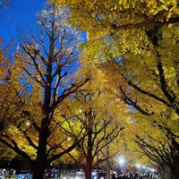 キハチ 青山本店 - 