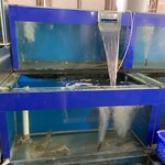 New Pelabuhan Seafood - 