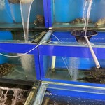 New Pelabuhan Seafood - 