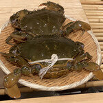 勢麟 - ドウマン蟹