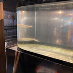 函館海鮮料理 海寿 - 入店時はたくさん泳いでましたが帰る頃には2匹に…