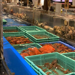 函館海鮮料理 海寿 - 店内は海の幸がわんさかでした♪