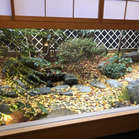 鍋茶屋 光琳 - お庭