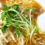 一寛 - かいわれ