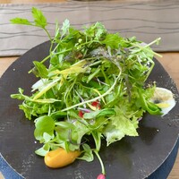 アグリスケープ - 葉野菜とハーブのサラダ 卵黄マヨネーズとフロマージュブラン ニンジンのソース