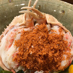 Sengawa Zushi - 