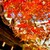 祇園 又吉 - ◎京都の紅葉
