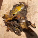 ル スプートニク - 