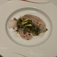 XEX TOKYO / Salvatore Cuomo Bros. - 