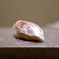 鮨 なんば 日比谷 - 