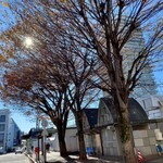 そば季菜 はや川 - 志村けんの木