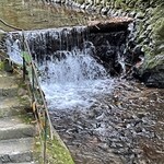 貴船喜らく - 川　いいわぁ～～