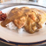 越後川口サービスエリア（下り線） ショッピングコーナー - カレーは、オシャレに盛ってはいけません、お米全体に覆うようにかけましょう(๑•̀ㅂ•́)و✧