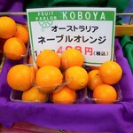 KOBOYA - 