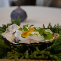 Installation Table ENSO L'asymetrie du calme - 