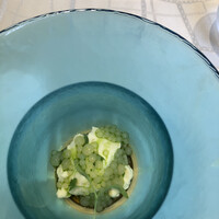 クイントカント - 