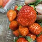 姫路ハートフル観光農園 - 