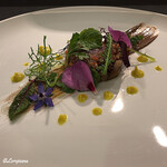 カーサ・デル・チーボ - 秋刀魚 ｻﾙｻﾏﾝﾄｳﾞｧｰﾅ