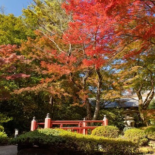 何度訪れても愉しい。季節ごとに装いを変える庭園は約1万坪