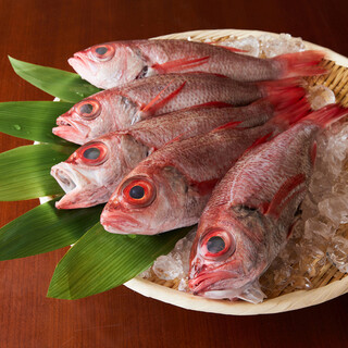 High-grade fish with black throat and white fatty tuna. classic salt-grilled fish with the most noticeable fat!