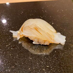 鮨 志の助 - アオリイカ