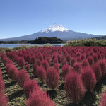 風のテラスKUKUNA - 富士山とコキア