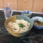 Shiota - かけうどん