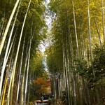 あさば - ふろく  竹林の小徑