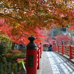 あさば - ふろく  竹林の小徑