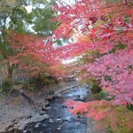 あさば - ふろく  竹林の小徑