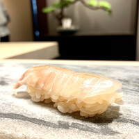 新宿 鮨 よこ田 - 