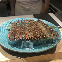五反田鮨 SUSHI TOKYO 81 - 