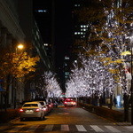 アピシウス - 外はすっかりクリスマス仕様