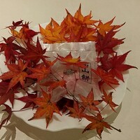 タカヤマ - 